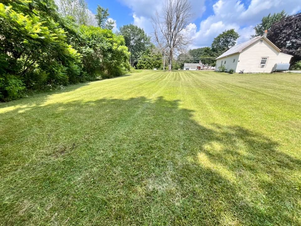 5 Lawn Care